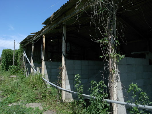 c0182231_2129184.jpg
