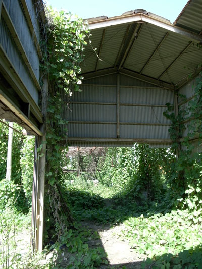 c0182231_21294756.jpg