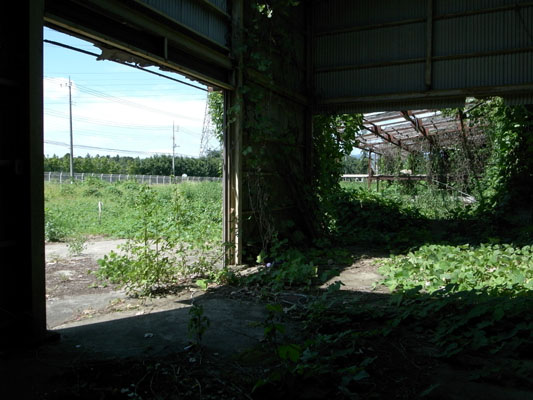 c0182231_21302968.jpg
