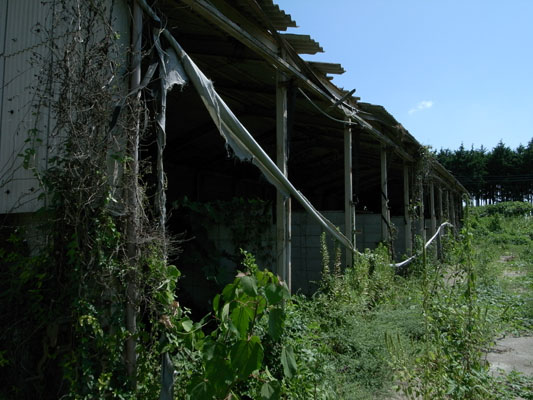 c0182231_2130965.jpg
