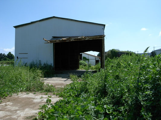 c0182231_21362822.jpg