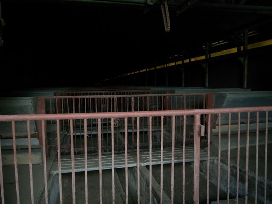 c0182231_213948100.jpg