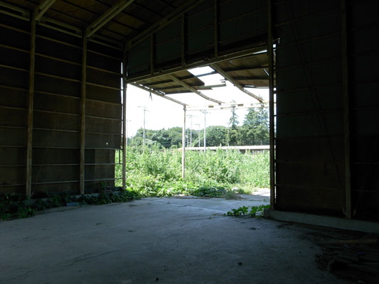 c0182231_214213.jpg
