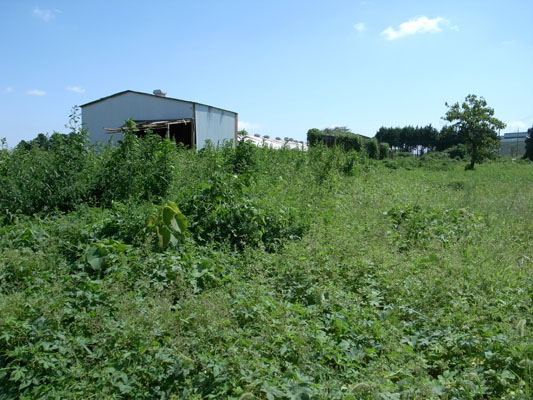 c0182231_21422287.jpg
