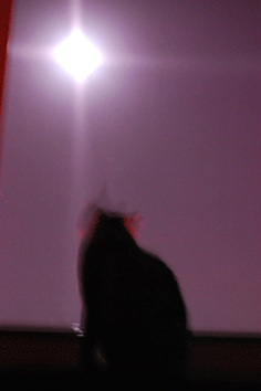 d0038733_1324456.gif