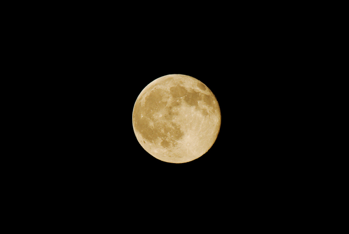 e0191335_21494485.jpg
