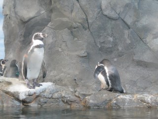 c0090236_2371235.jpg