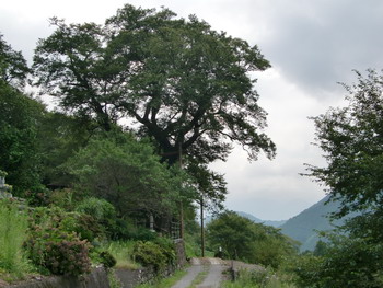 c0183137_06174.jpg