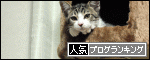 f0185840_2315689.gif