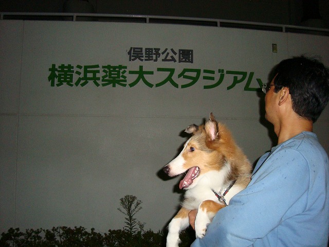 ドリームランド跡地は今_e0195743_21134447.jpg