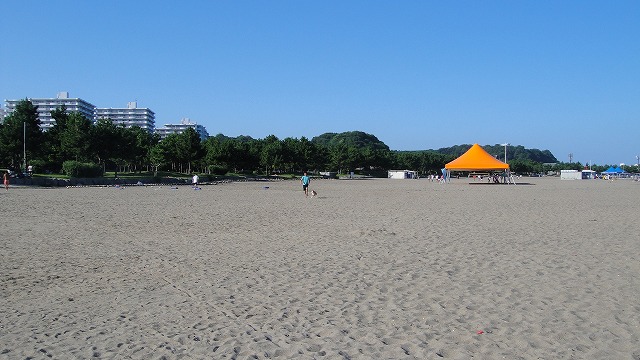 夏の思い出・またまた車酔い編_e0195743_23124557.jpg