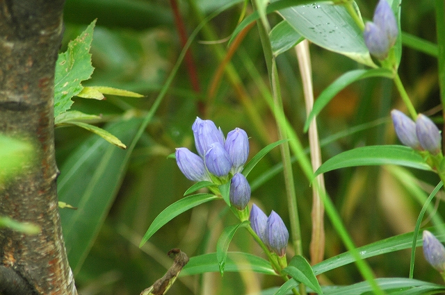 f0202445_23205416.jpg