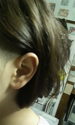 もみあげあげ カストラー是