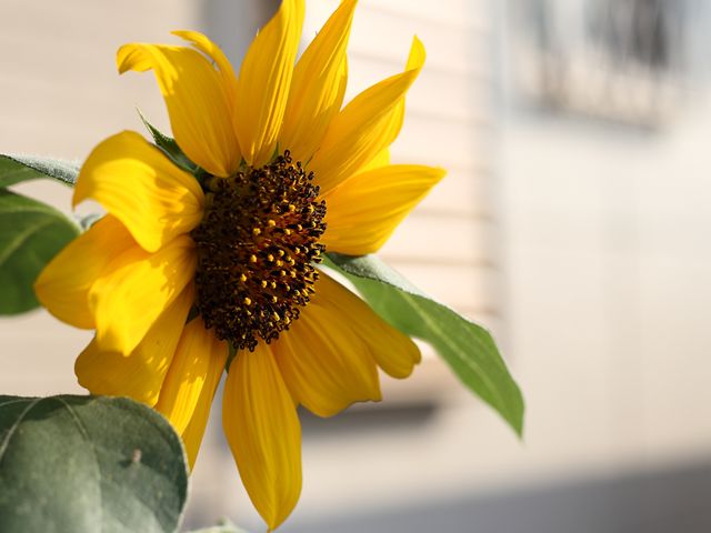 c0202747_20341410.jpg