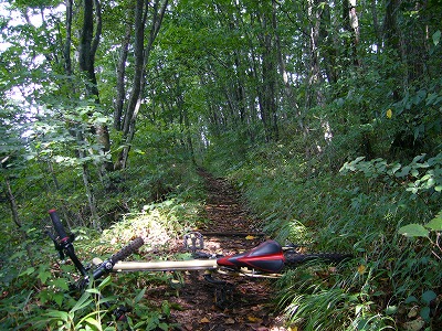 自転車(MTB)で権現山_d0014748_1952587.jpg