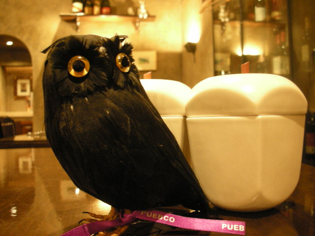 フクロウのネロ_a0131349_1611295.jpg