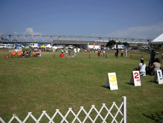 b0005652_21465762.gif