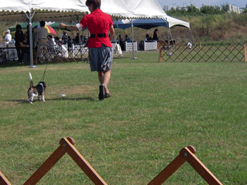 b0005652_21484529.gif