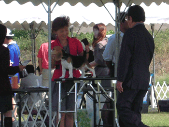 b0005652_2149113.gif