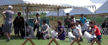 b0005652_21535743.gif