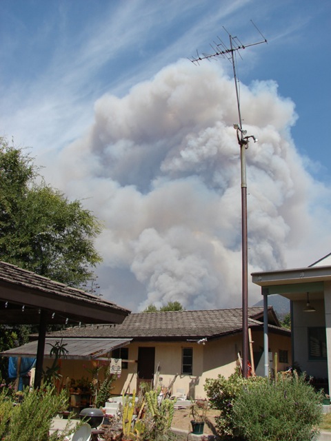 ロサンジェルスの山火事！！_f0198556_417966.jpg