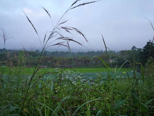b0045357_8594611.jpg