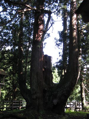 c0190960_9492580.jpg