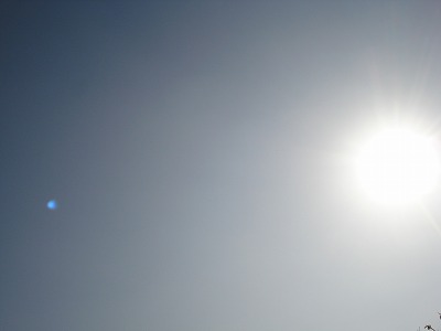 b0086362_16303148.jpg