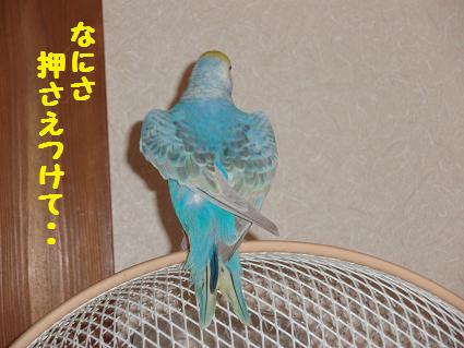 c0151866_1915214.jpg