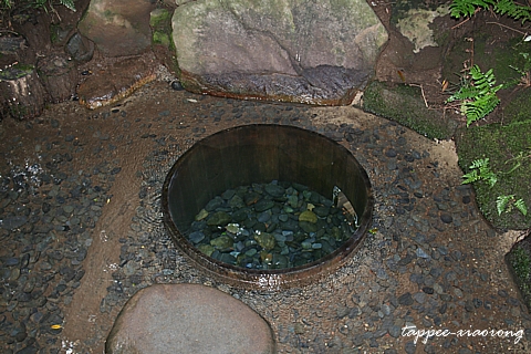 e0182674_11224470.jpg