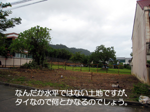 爽やかな日曜! 降り注ぐ太陽! ヘイヘイヘイ!!_f0144385_15245662.jpg