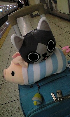 かわいぃ_b0088086_23294053.jpg