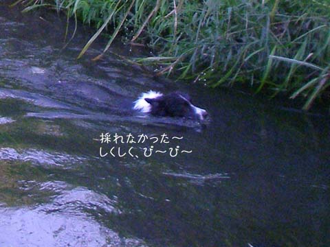 f0114893_121331.jpg