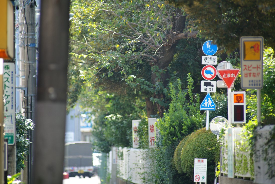 c0124795_2374828.jpg
