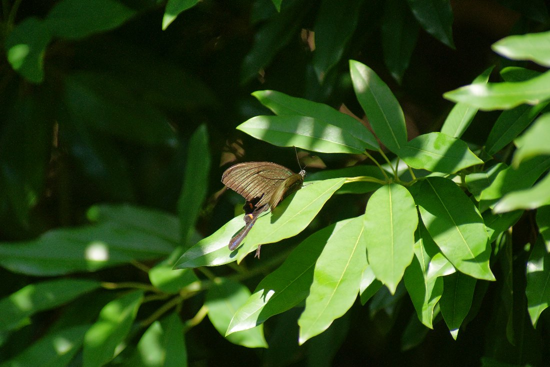 c0124795_2382980.jpg