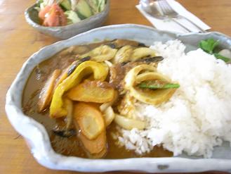 ベジタブルカレー_d0087595_9534783.jpg