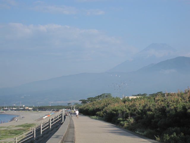 c0133096_17232011.jpg