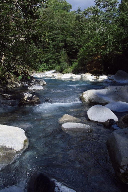 f0002701_8145310.jpg