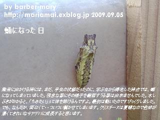 b0147203_10574423.jpg