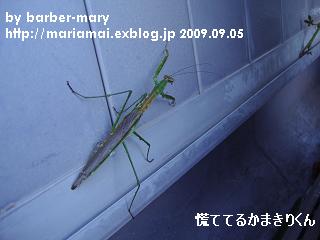 b0147203_10581287.jpg