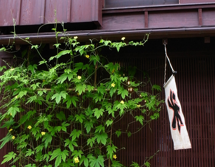 b0158403_9313265.jpg