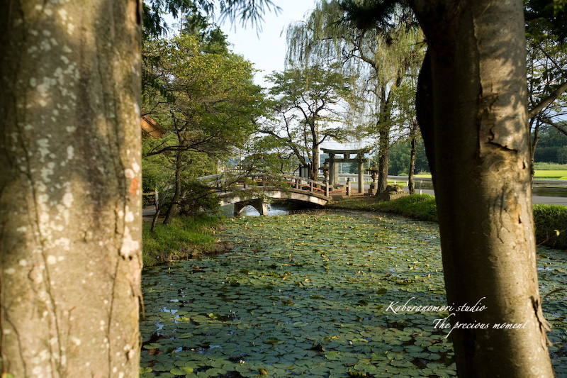 09/9/4 フレクトゴン35mm F2.4で長坂神社_c0137403_9143220.jpg