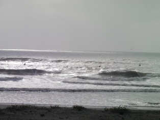 f0164003_9472410.jpg