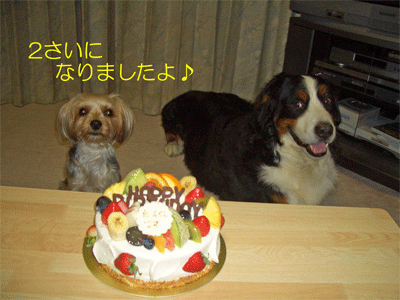 c0143711_220227.gif