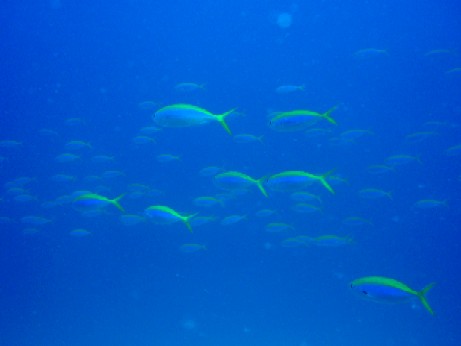f0043911_1617132.jpg