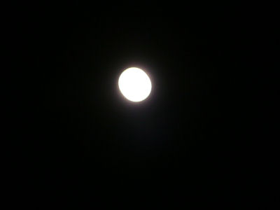 c0146714_2245317.jpg