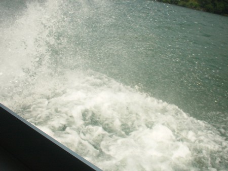 d0004627_21592476.jpg