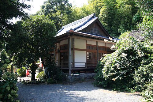 熊本市２　九州旅行５_c0119036_0185819.jpg