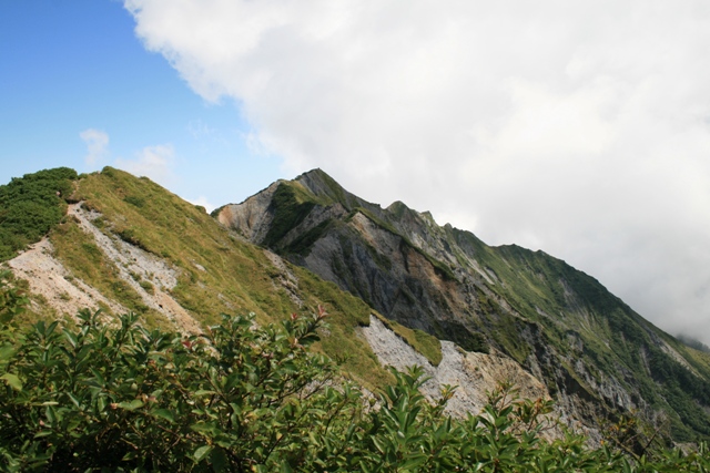 c0193536_11124620.jpg