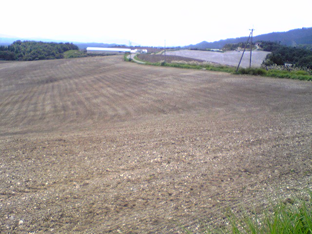 草地改良_f0081443_1383670.jpg